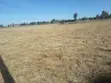 Ekari 5 za Ardhi ya Makazi kwa Uuzaji Kiserian - 1