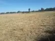 Ekari 5 za Ardhi ya Makazi kwa Uuzaji Kiserian - 2