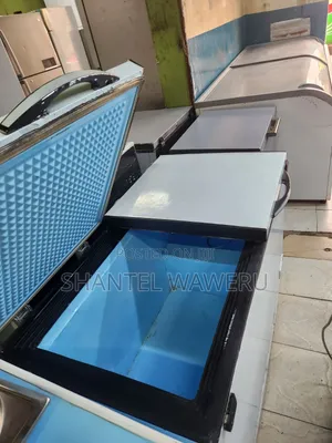 Premier Double Door Freezer 450L Used