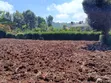 Vipande vya Ardhi vya Makazi Kerwa, Kikuyu Vinauzwa - 3