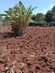 Vipande vya Ardhi vya Makazi Kerwa, Kikuyu Vinauzwa - 5