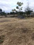 Ndaragwa 1 Acre Prime Land for Sale - 4