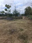 Ndaragwa 1 Acre Prime Land for Sale - 5