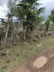 3.4 Acres Land for Sale in Lolldaiga, Nanyuki - 2