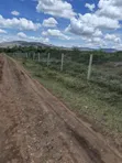 3.4 Acres Land for Sale in Lolldaiga, Nanyuki - 5