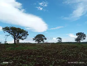 Makuyu 45 Acres Red Soil Land for Sale