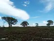 Makuyu 45 Acres Red Soil Land for Sale - 1