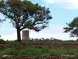 Makuyu 45 Acres Red Soil Land for Sale - 2