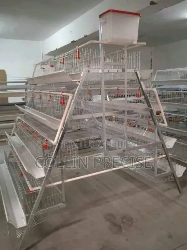 128 Birds Galvanized Chicken Cages - Brand New - 1