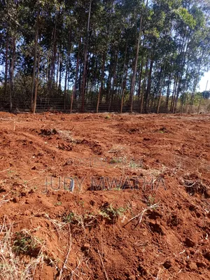 Kikuyu Residential Plot - Freehold Title