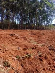 Kikuyu Residential Plot - Freehold Title - 1