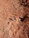 Kikuyu Residential Plot - Freehold Title - 2