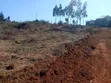 Kikuyu Residential Plot - Freehold Title - 3
