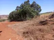 Kikuyu Residential Plot - Freehold Title - 4