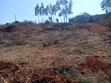 Kikuyu Residential Plot - Freehold Title - 5