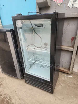 Friji la Kuonyesha la Premier 100L