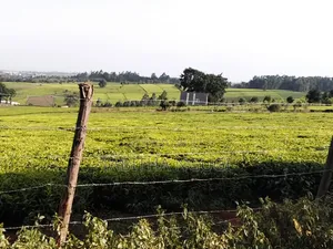 Eka 1 ya Ardhi Inauzwa Tigoni
