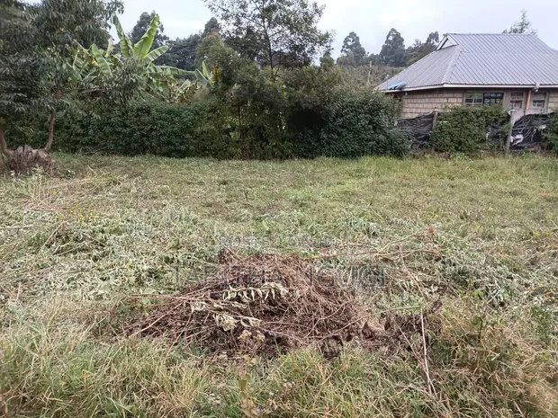 50x100 Plot for Sale in Kikuyu-Ondiri - 1