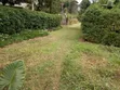 50x100 Plot for Sale in Kikuyu-Ondiri - 3
