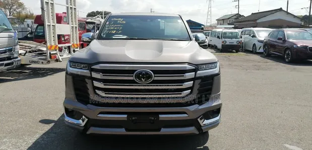 2023 Toyota Land Cruiser LC300 ZX Brown - 1