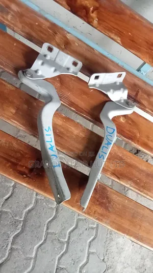 Nguo za Bonnet za Nissan Dualis (Zilizotumika)