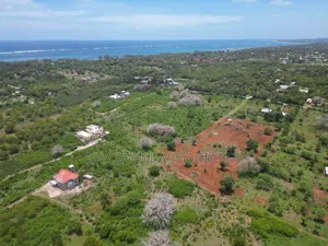 Kitalu Bora Bofa Kilifi 50x100