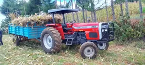 Massey Ferguson 375 Tractor - Great Britain