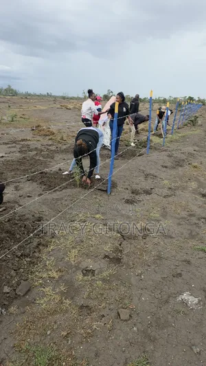 Prime Plots for Sale - Meru, Nanyuki & Naromoru