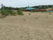 Prime Plots for Sale - Meru, Nanyuki & Naromoru - 2