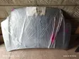 Toyota Corolla Fielder Bonnet 2002 - 3
