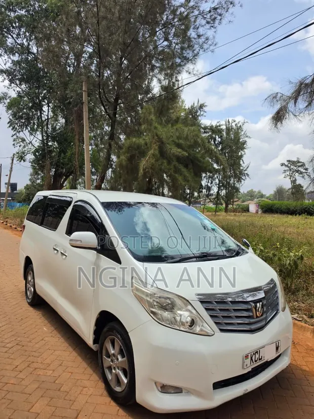 Toyota Alphard 2010 - 1