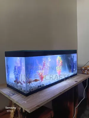 Black Desktop Aquarium