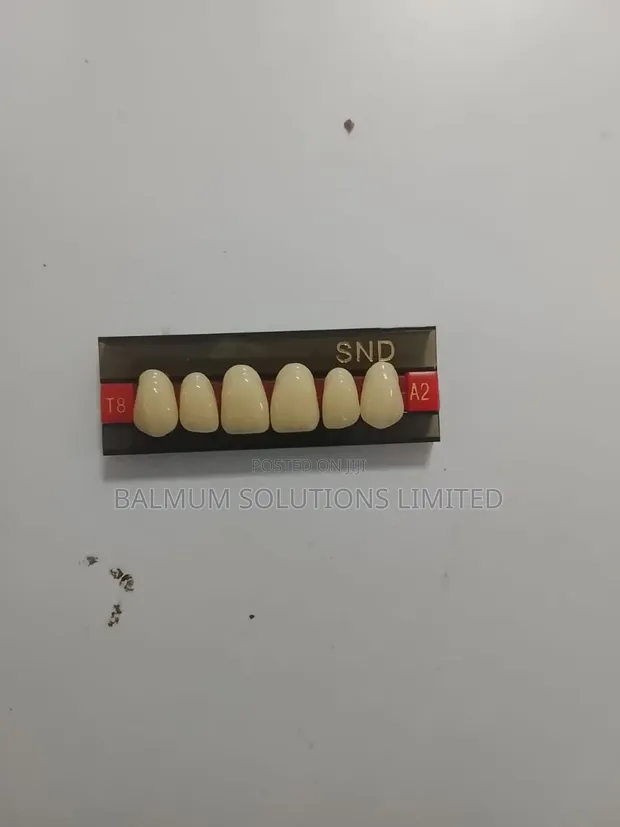 Artificial Denture Teeth - 1