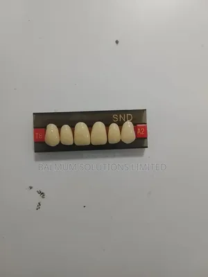 Artificial Denture Teeth