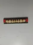 Artificial Denture Teeth - 2