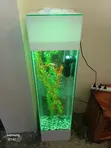 White Tower Aquarium - 1
