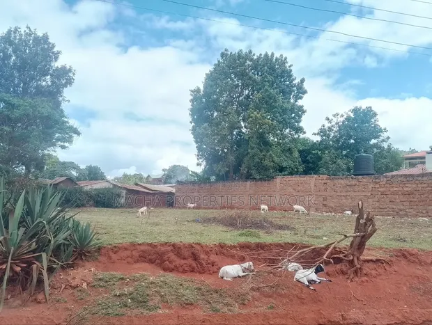 1/4 Plot Machakos Eastleigh - Mauzo ya Haraka - 1