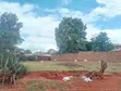 1/4 Plot Machakos Eastleigh - Mauzo ya Haraka - 5