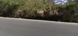 Prime 1/2 Acre Commercial Land for Petrol Station in Ongata Rongai - 5