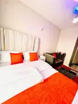 Furnished Studio Apartment for Rent in Coral Bell Tsavo, Thindigua - 3