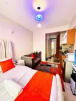 Furnished Studio Apartment for Rent in Coral Bell Tsavo, Thindigua - 4