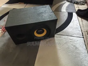 Sony Xplod 1500W Bass Speaker