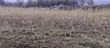 Olkalou Prime Farmland for Sale - 1
