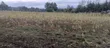 Olkalou Prime Farmland for Sale - 2