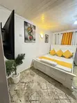Furnished Studio Apartment for Rent in Fadhili Court, Syokimau - 2