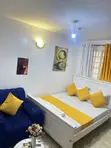 Furnished Studio Apartment for Rent in Fadhili Court, Syokimau - 4