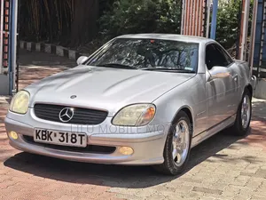 Mercedes-Benz SLK 230 Kompressor Roadster 2002 Silver