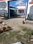 Furnished 3-Bedroom Maisonette in Ruai, Kangundo Road - 2