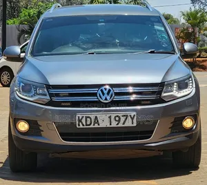 Volkswagen Tiguan 2015 Nyeupe