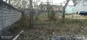 Two Plots for Sale in Kenol, 40x80 Each